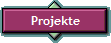 Projekte