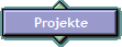 Projekte